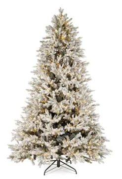 Online Bizzotto ALBER BERKSHIRE INN H240-6428R 2500L