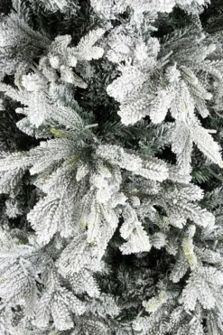 Online Bizzotto ALBER BERKSHIRE INN H240-6428R 2500L