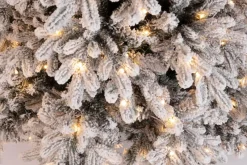 Best Bizzotto ALBERO MASSIVE INNEVATO H240-3973R 600L