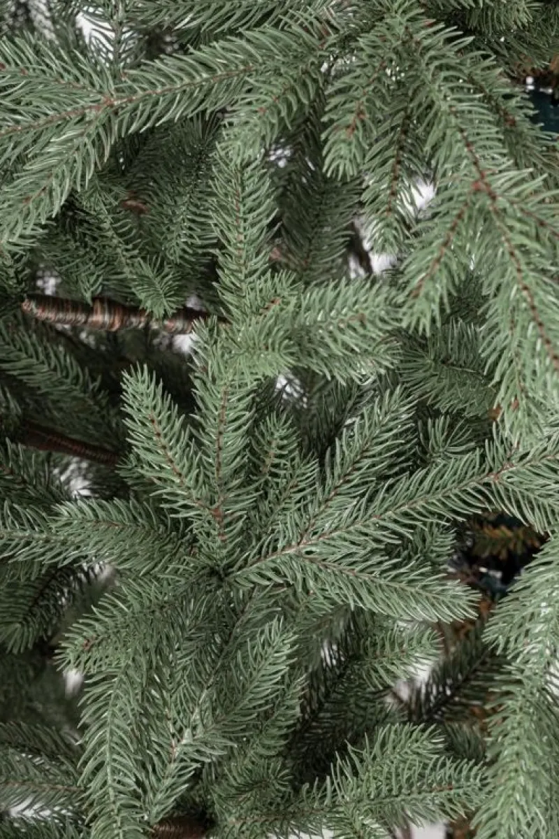 Clearance Bizzotto ALBERO MUIR H240-4965RAMI