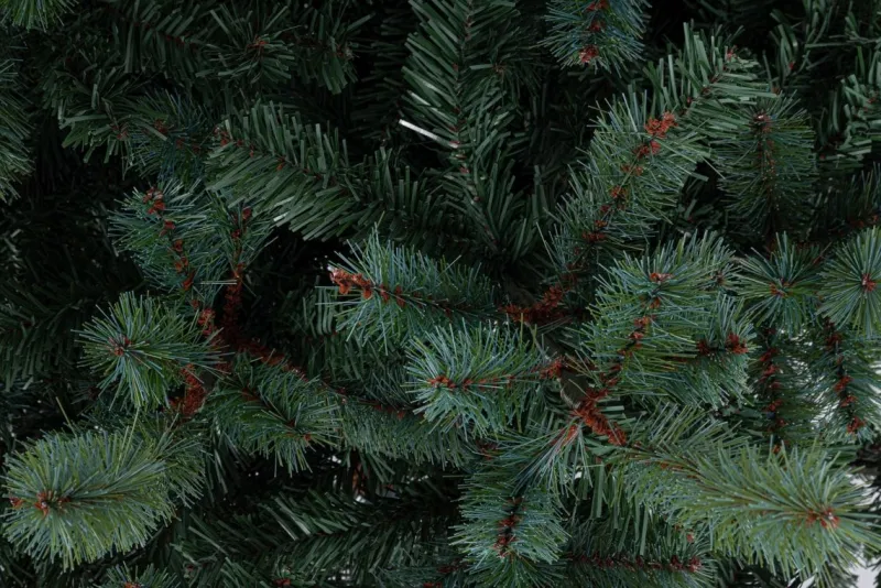 Bizzotto ALBERO SERRONE GLAUCO H240-2322RAMI