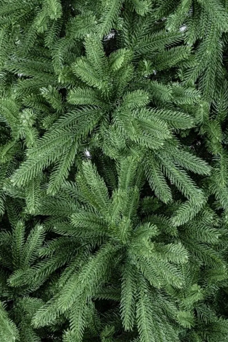 Best Bizzotto ALBERO TIROLO H180-680RAMI