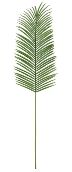 Discount Bizzotto FOGLIA PALMA PHOENIX VERDE H150CM