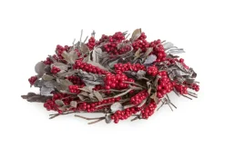 Best Bizzotto P.CANDELA 1P NATHALIE TO C-BACCA RO D29