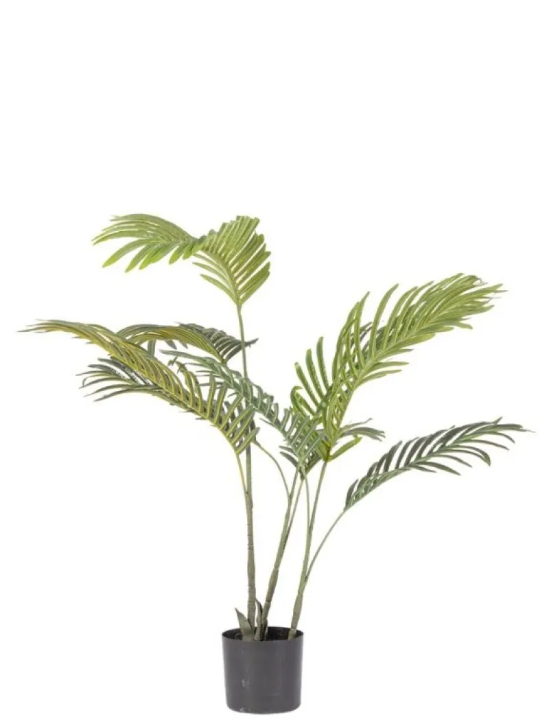 Sale Bizzotto PIANTA KENZIA C-VASO 9FOGLIE H80