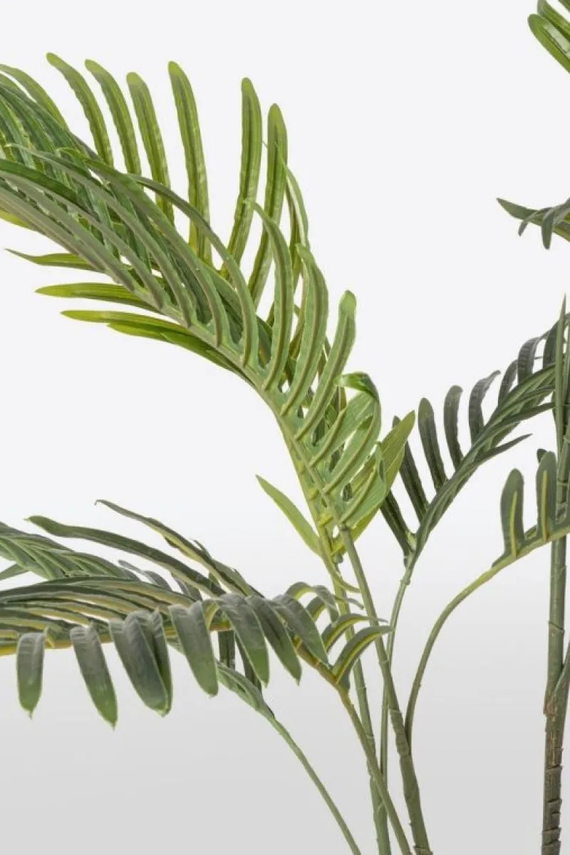 Sale Bizzotto PIANTA KENZIA C-VASO 9FOGLIE H80