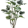 Best Bizzotto PIANTA MONSTERA C-VASO H210