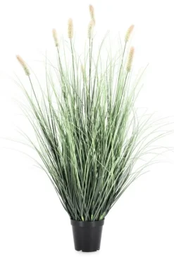 Sale Bizzotto PIANTA PENNISETUM C-VASO H90