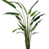 Sale Bizzotto PIANTA STRELITZIA C-VASO 18FOGLIE H310