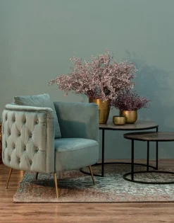 Online Bizzotto POLTRONA BLU TURCHESE - TENBURY