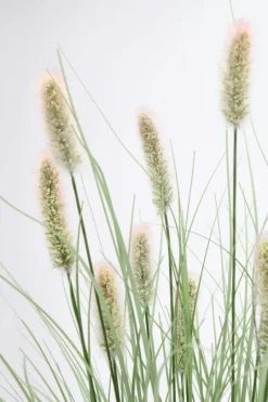 Sale Bizzotto RAMO PENNISETUM H100