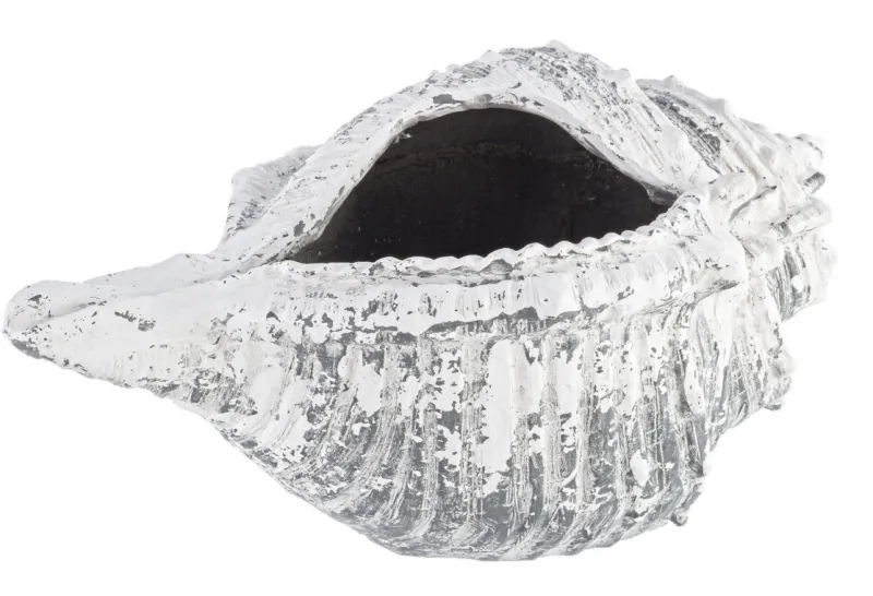 Clearance Bizzotto VASO CONCHIGLIA MAGNESIA 68X38